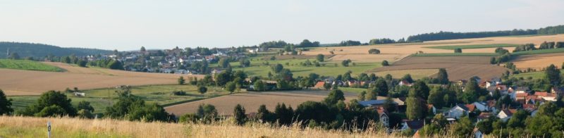 Kommunalwahl 2021 Grüne Brombachtal